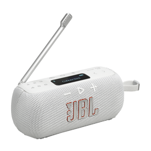 JBL Tuner 3