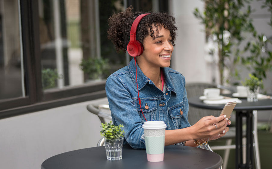 JBL E35 On Ear Headphones