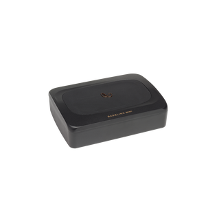 BassLink MINI