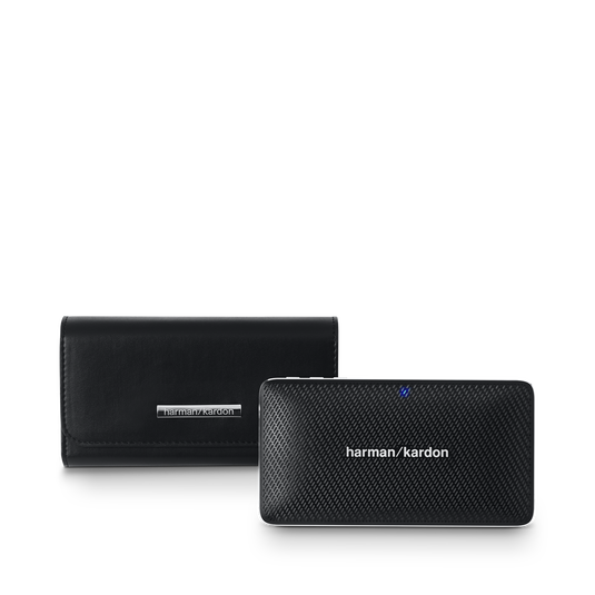 Harman kardon esquire 2 case sales